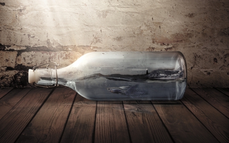 Still life - wood, photomanipulation, glass, water, fish, bottle, timber, still life