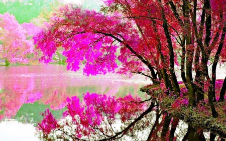 Spring Pink Blossom - colorful, nature, lake, spring, flower, pink