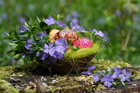 Easter garden arrangement - Easter eggs, nest, garden, spring, still life