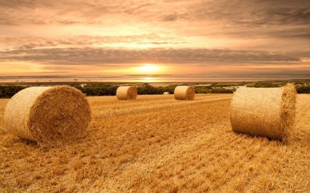 Haybales at Sunset - nature, haybales, field, sunset