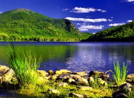 South Branch Pond - sky, branch, calmness, reflection, clouds, grass, pond, lake, mountain, shore, sount, serenity, tranquility, nature, blue, beautiful, stones