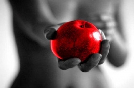 The bone of contention - red brillant, for you, the bone of contention, two colors, photography, red apple