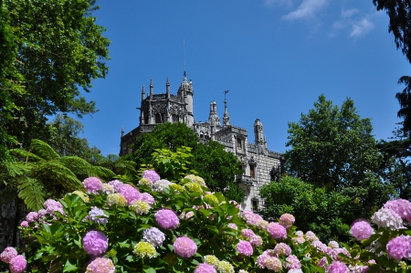 Palace Quinta - Portugal - flowers, nature, Palace-Quinta, portugal