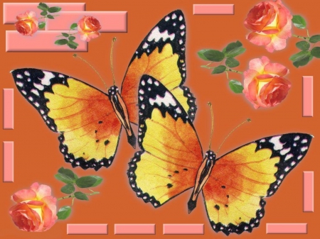 BUTTERFLY ORANGE - orange, flowers, yellow, butterflies