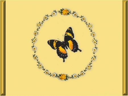 BUTTERFLY YELLOW - butterfly, yellow, animal, design, flowers