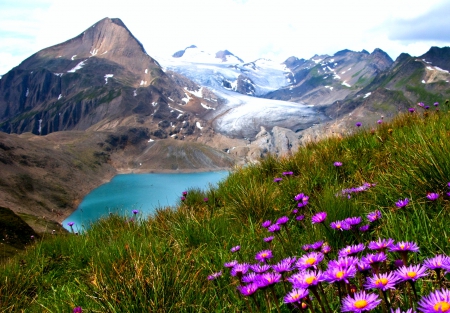 Klein Grieshorn Mountain - flowers, Alps, glacier, Switzerland, grass, mountains, lakes