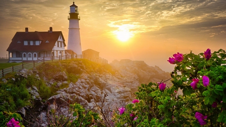 Lighthouse - lighthouse, flowers, rockd, sunrise