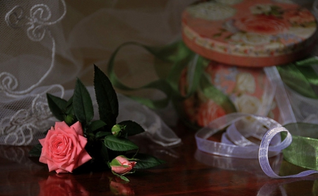 Still life - red, flower, rose, abstract