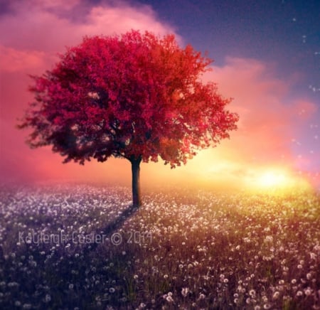 Art of Nature - tree, fantasy, nature, abstract