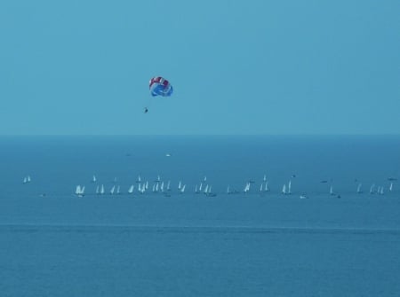 Catch the Wind - windy, parasailing, Gulf of Mexico, ocean, sailboats