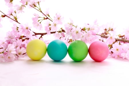 ♥Easter Time♥ - eggs, flowers, easter, blossom, spring