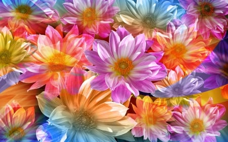 Rainbow Petals - mood, rainbow, collage, color, flower, petals, light