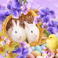 White Easter Bunnies