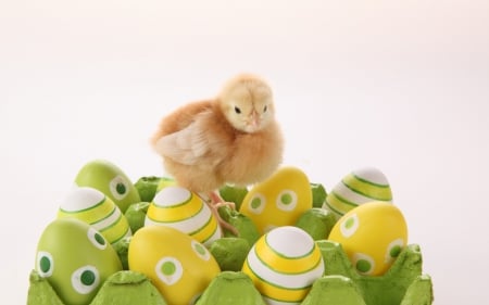 Happy Easter! - white, chicken, yellow, easter, green, egg, bird