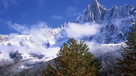 rugged mountain peaks above the clouds - trees, clouds, snow, mountains, peaks