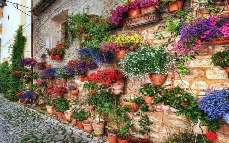 House in Springtime - blooming, pots, flowers, wall, colors, hdr