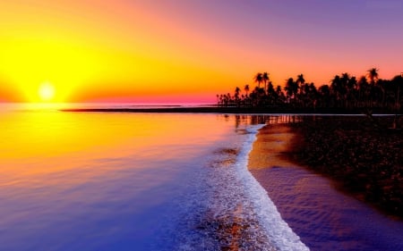 Beach Sunset - reflection, sun, water, palms, sea