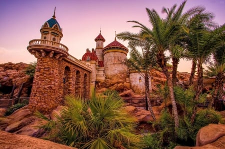 Disneyland Castle - palms, california, hdr, plants, walls, building