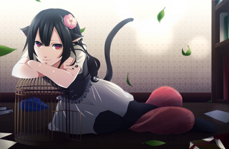 Cage - beauty, nice, tail, neko, girl, female, anime girl, nekomimi, lovely, ears, cage, hd, pretty, beautiful, anime, sweet