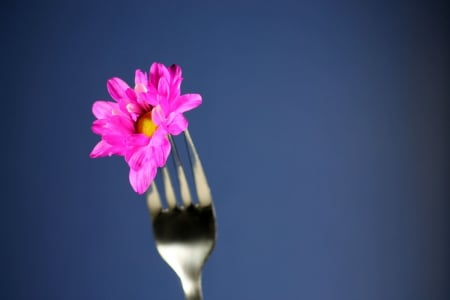 To eat better, listen to your thoughts - purple flower, fork, thoughts, love, nature, pure feeling