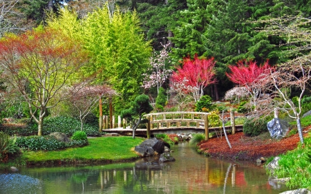 Japanese garden - lake, freshness, trees, colorful, park, japanese, lovely, spring, forest, pretty, beautiful, flowers, grass, bridge, garden, pond