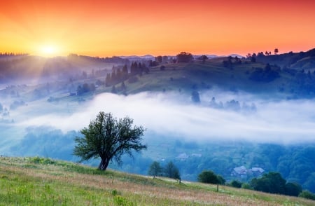 Landscape - clouds, trees, splendor, landscape, sunrise, grass, village, sunset, nature, sky