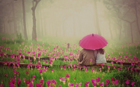 Dating in the rain - brown, gesture, romance, pink, flowers, widescreen, umbrella, rain, plants, nice, attachment, fondness, tenderness, maroon, beauty, dating, colors, love, care, courtesy, nature, flirt, picture, gray, green, valentine, high definition, education, yellow, gallant, amazing, foggy, ion, grass, photo, regard, politeness, motion, court, forests, woo, red, mist, view, endearment, hd, mannerliness, trees, water, fog, image, beautiful, photography, cool, affection, sweet, awesome, cold, couple