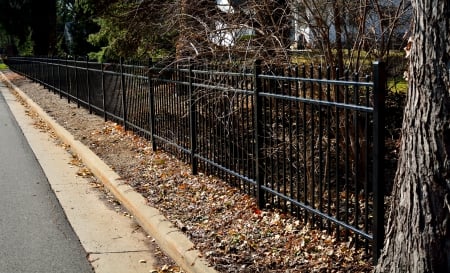 On The Fence - fence, on the fence, fence line, scenic fence