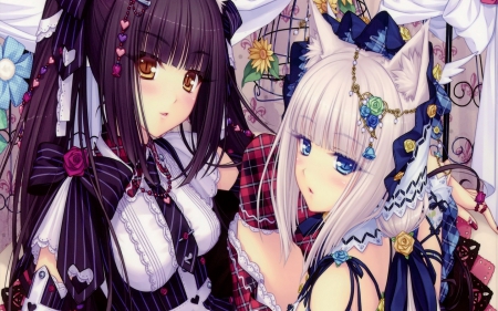 I'm Yours Vanilla, I'm Yours Choco - Vanilla, BG, Choco, Beauty Eyes, Foxy, Colours, Dark Violet Hair, Anime, Wall, Girl, Light Silver Hair, Beauty, Ears, HighSchool Girls, New