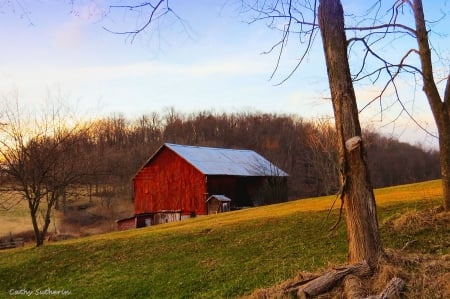 The Barn at Twilight - branches, grass, farm, sky, field, tree, barn, nature, twilight