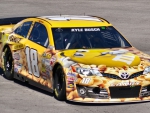 #18 Kyle Busch 