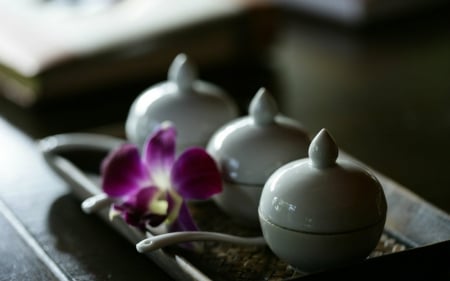 Still life - orchids, jars, flower, still life