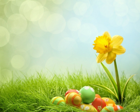 Easter time - eggs, easter, flowers, grass