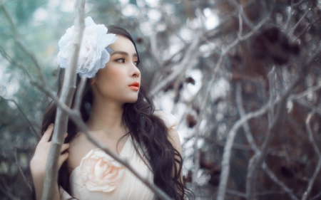 Thuong Xinh - flower, beauty, model, bride, girl, thuong xinh, white, branch, woman