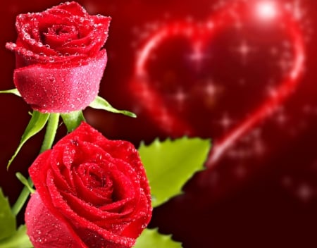 Red roses  4u with love