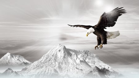 Freedom Flies - bird of prey, freedom, sky, winter, mountains, free, eagle, snow, fly