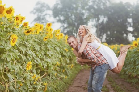 Spring sunflower field - de floarea soarelui, si, iubirea, campul