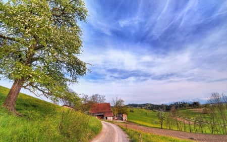 wonderful rural scene hdr - fields, hillside, farm, rural, clouds, tree, hdr, road