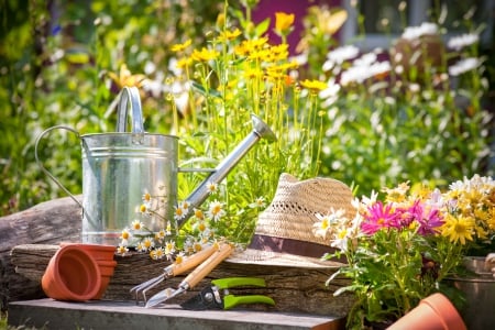 SpringTime â™¥ - watering can, beautiful, spring time, photogrpahy, flowers, lovely, garden, spring