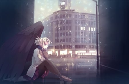 Isolation - wings, winged, lonely, anime, cold, angel