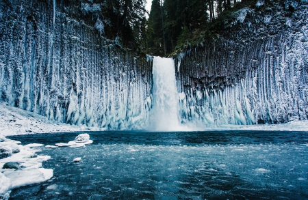 Frozen Waterfall In Oregon - ice, lake, abiqua, trees, winter, waterfalls, basaltic amphitheater, creek, white, forest, blue, beautiful