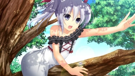 Hotaru Shirakawa - hotaru shirakawa, otonari koi sensou, anime, tree, ponytails, dress