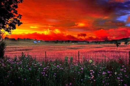 Burning Sky And Flowers - sky, trees, hills, field, sunset, yellow, red, beautiful, clouds, flowers, grass