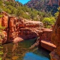 Coconino National Forest, Arizona