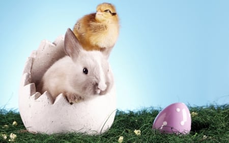 Happy Easter! - white, chicken, rabbit, pink, easter, green, egg, bunny