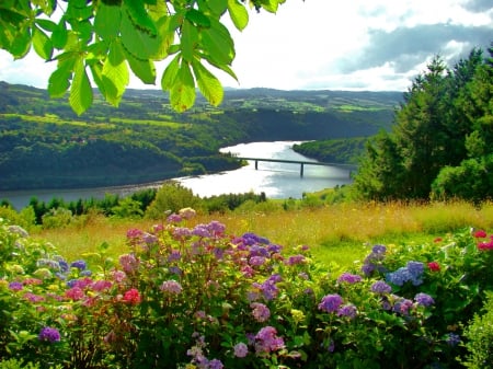 River view - branches, valley, sky, freshness, landscape, mountain, hills, riverbank, summer, meadow, spring, view, river, tree, flowers, grass