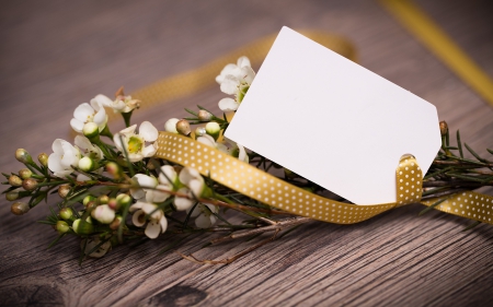 Happy spring! - white, card, flower, ribbon, bow, golden, spring, wood