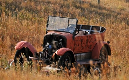 ♥ - retro, car, summer, vintage, red, field