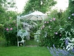 Romantic Rose Garden