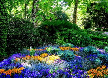 Summertime Park - colors, blossoms, trees, bush